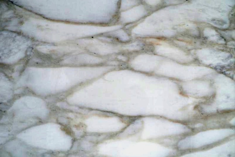 Calacatta Caldia Marble