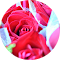 Image 38